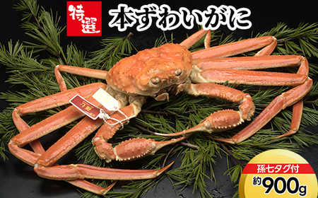 【特選】本ずわいがに約900g（孫七タグ付）※2026年11月～発送