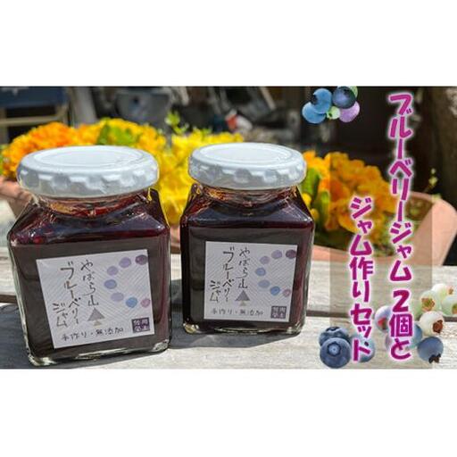 ブルーベリージャム2個と ジャム作りセット(冷凍ブルーベリー 1kg+グラニュー糖) フルーツ 自家製ジャムキット