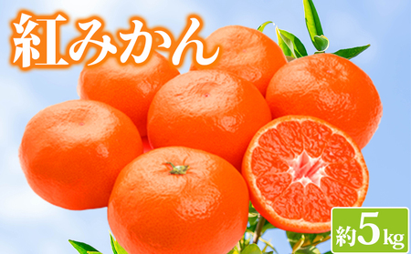 みかん 約5kg 紅みかん 小原紅早生
