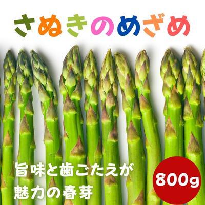 【2027年2月上旬以降発送予定】アスパラガス さぬきのめざめ 早出し 春芽 約800g 香川県 丸亀市 アスパラ