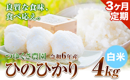 【3ヶ月定期便】新米 令和6年産 ひのひかり 白米4kg 熊本県荒尾市産 つゆくさ農園 《お申込み月の翌月から出荷開始》 美味しい米 お米 熊本県産米 くまもと米 st-p