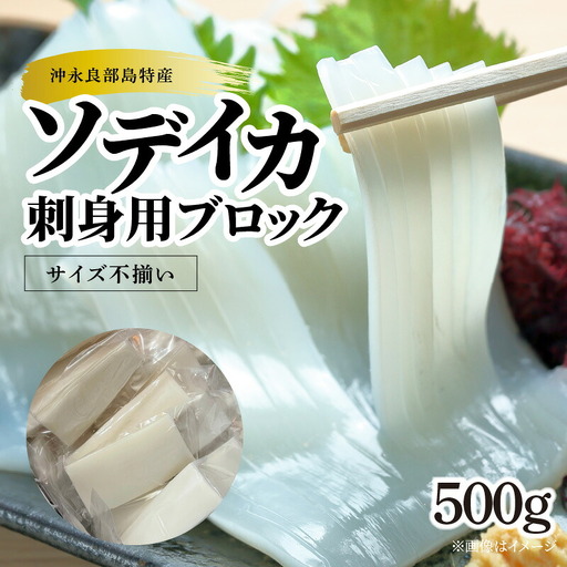 【 サイズ不揃い 】ソデイカ・刺身用ブロック 500g / 沖永良部島特産 W009-056u 魚 冷凍 イカ 加工品