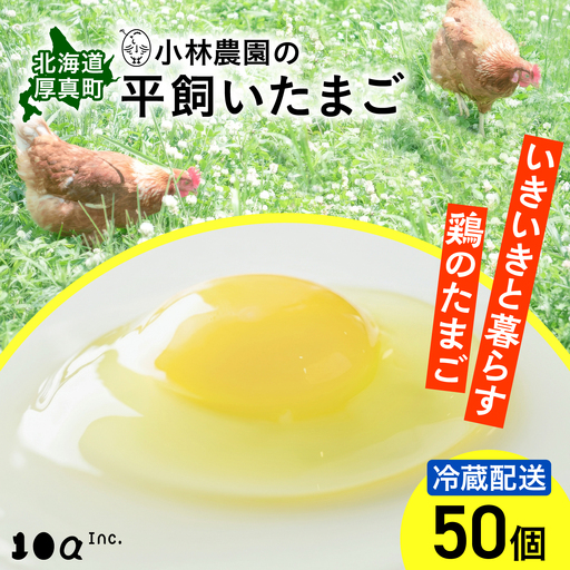 たまご 平飼い卵 50個 冷蔵 [AXAN010] たまご
