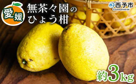 ＜無茶々園のひょう柑 約3kg＞ 【先行予約】果物 みかん ミカン 蜜柑 柑橘 フルーツ ひょうかん 弓削瓢柑 特産品 愛媛県 西予市【常温】『2027年4月～5月上旬迄に順次出荷予定』AMC0009