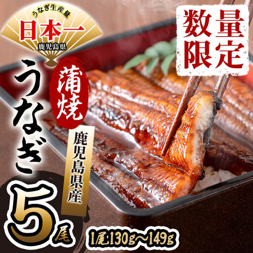 鹿児島県産 伊崎田のうなぎ蒲焼 ＜130g以上＞× 5尾(計650g以上) うなぎ 鰻 ウナギ 国産 鹿児島県産 九州産 蒲焼き 冷凍 うな重 ひつまぶし b8-033