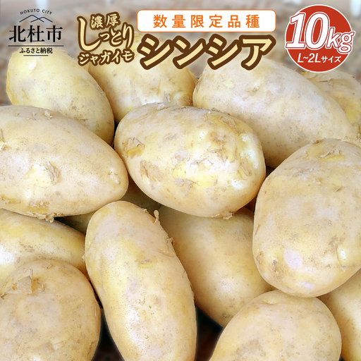 [数量限定品種]濃厚しっとり食感 ジャガイモ シンシア 10kg [h155]