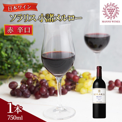 赤ワイン ソラリス 小諸メルロー 750ml1本 赤ワイン