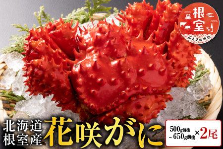 【北海道根室産】花咲かに500g前後～650g前後×2尾 A-30054