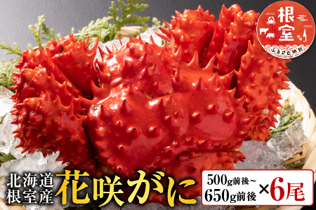 【北海道根室産】花咲かに500～650g×6尾 D-30043