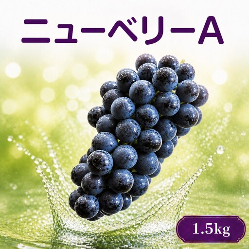 ぶどう ニューベリー A 1.5㎏【先行予約】【2027年8月下旬から発送】｜ぶどう RYE