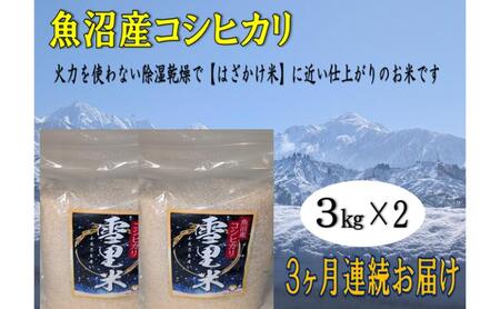 生産者直送！魚沼産コシヒカリ【雪里米 ふるさとまい】 精米3kg×2 3ヶ月連続お届け お米 ライス ご飯 主食 新潟県産 産地直送 定期便 3回 