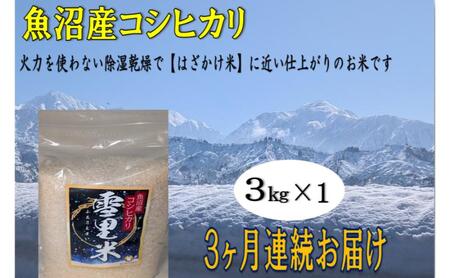 生産者直送！魚沼産コシヒカリ【雪里米 ふるさとまい】 精米 3kg 3ヶ月連続お届け お米 ライス ご飯 主食 新潟県産 産地直送 定期便 3回 