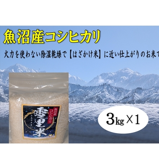【令和8年産 先行予約】生産者直送！魚沼産コシヒカリ 雪里米（ふるさとまい）精米 3kg お米 ライス ご飯 主食 新潟県産 産地直送 