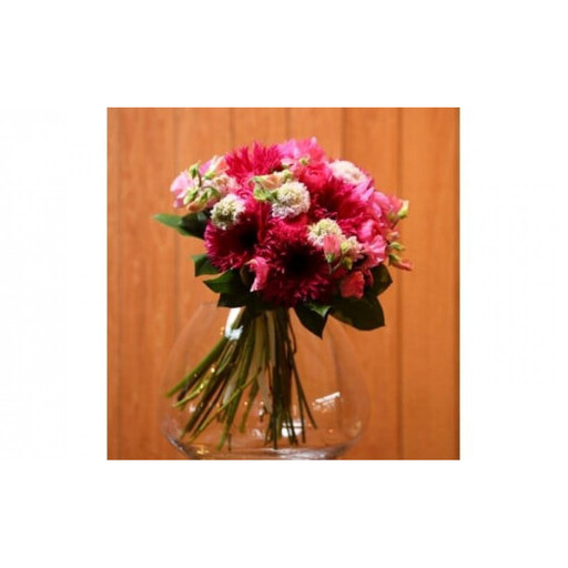 季節ごとに届く、えらべるお花 Sサイズ(4回お届け)[季節ごとに届く、えらべるお花 Sサイズ フラワーライフ 世界らん展 フラワードリームジャパンカップ フラワーアレンジメント 6種類のフラワースタイル 神奈川県 小田原市 花 花 ]