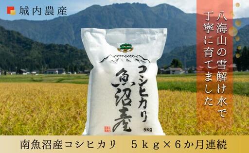 【令和７年 産】【お米定期便/全６回】南魚沼産コシヒカリ　白米５ｋｇ＜５割減農薬栽培米＞ 城内農産【定期便 銘柄米 ブランド米 精米 こしひかり コシヒカリ 魚沼産 新潟米 産地直送 お米 米 こめ コメ ご飯 御飯 ごはん】