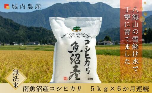【令和７年産 】【お米定期便/全６回】南魚沼産コシヒカリ　無洗米５ｋｇ＜５割減農薬栽培米＞城内農産【定期便 銘柄米 ブランド米 無洗米 こしひかり コシヒカリ 魚沼産 新潟米 産地直送 お米 米 こめ コメ ご飯 御飯 ごはん】