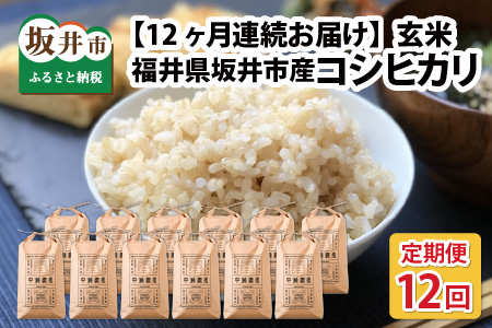 [先行予約][令和8年産・新米][12ヶ月定期便] コシヒカリ5kg×12回 合計60kg(玄米)[2026年10月より順次発送予定] [L-11303_02]