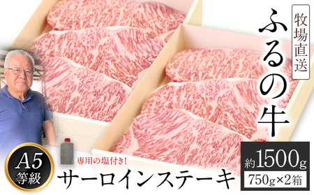 ふるの牛（黒毛和牛）特選サーロインステーキ 1500g 1箱(250g×3枚)×2箱 ゲランド塩付き A5 有限会社ふるの《30日以内に出荷予定(土日祝除く)》