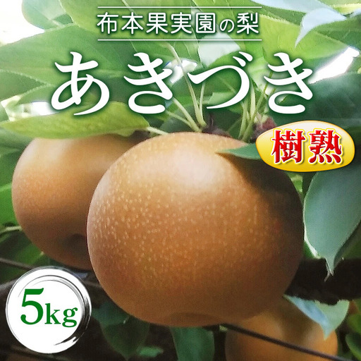 樹熟梨「あきづき」約12玉 5kg ※大きさは天候・生育状況により変わる場合があります ※2026年9月～発送