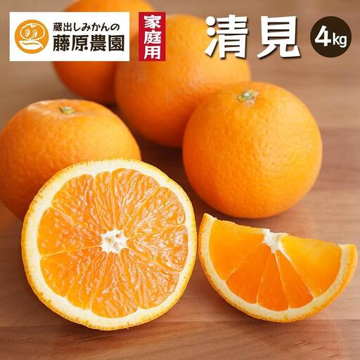 清見オレンジ（みかん）4kg 家庭用 ｜和歌山県海南市下津町で育てた和製オレンジを産地直送でお届け【2027年3月～発送予定】