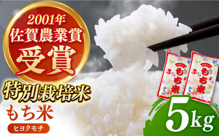 ヒヨクモチ 精米 5kg 【ももさき農産】 [HCG008] 餅 精米