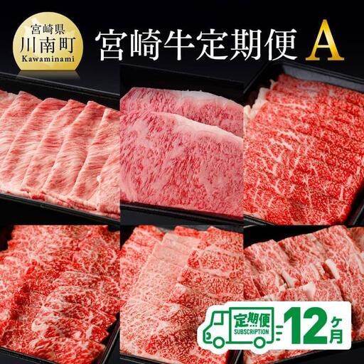 牛肉 【定期便】宮崎牛12ヶ月定期便A【 黒毛和牛 ミヤチク 牛肉 】