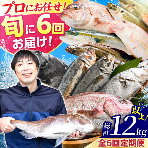 【定期便】全6回(隔月発送)【加福鮮魚】「若狭小浜港産地直送」旬の天然鮮魚お任せセット！地魚 下処理済み 刺身 煮魚 焼き魚 小浜市 / 加福鮮魚 【配送不可地域：北海道、北東北（秋田、青森、岩手）、九州、沖縄、離島】[BFBC016] 