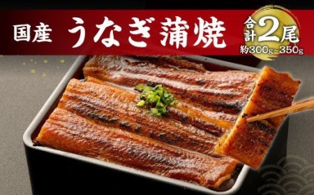 鹿児島産 鰻 蒲焼き 2本 約300〜350g セット 老舗130年の味 うなぎ