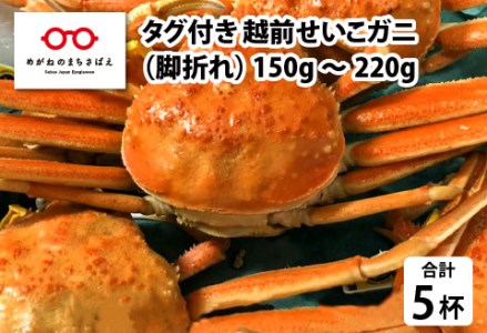 タグ付き越前せいこガニ（脚折れ） 5杯 （150～220g）　カニ 越前ガニ