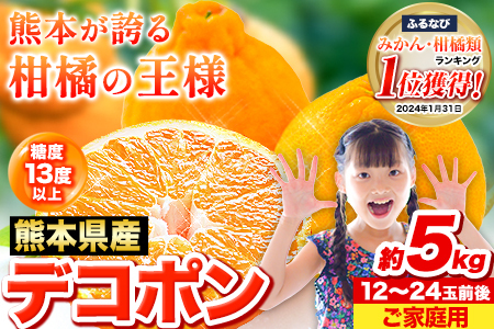 先行予約 デコポン 訳あり デコポン 約 5kg 前後(約12-24玉前後)  《2月上旬-4月上旬頃出荷)》不知火と同品種 フルーツ 果物 みかん 柑橘