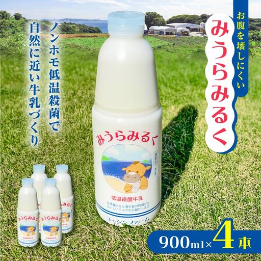 [ 低温殺菌牛乳 ] みうらみるく 900ml × 4本 M091-001-01 飲料