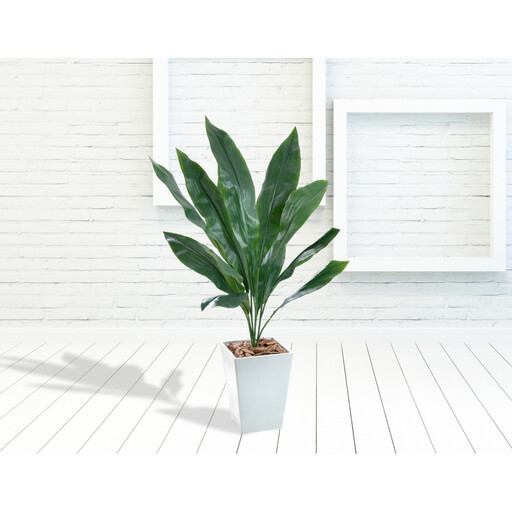 人工観葉植物　ハラン　白樹脂鉢Sサイズ付