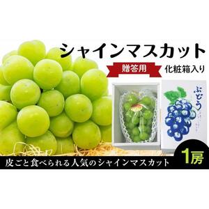贈答用シャインマスカット1房（600g以上）化粧箱入り