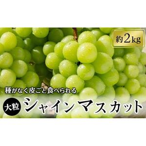 シャインマスカット約2kg（2～5房入り）