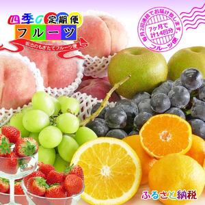 【定期便14回】創業100年 産直あきんど四季のフルーツの定期便《月2回×7ヶ月連続でお届け》