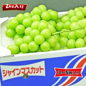 《2026年発送》特秀品シャインマスカット2kgの詰め合わせ