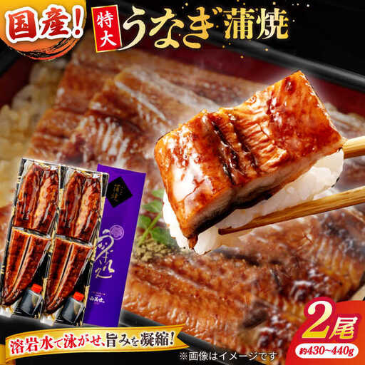 うなぎ 国産 特大 蒲焼き 2尾 400g以上 [ALDC001]うなぎ