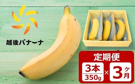 【定期便・雪国新潟産バナナ】3本（350g）×3回 濃厚な甘さともっちり食感！安心安全の越後バナーナ[ZG430]