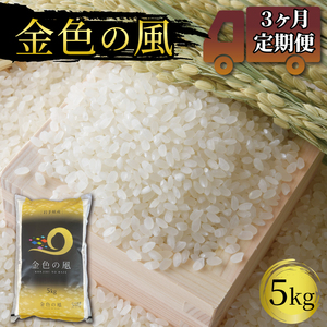 3ヶ月 定期便 米 5kg 金色の風 白米 お米 おこめ 1等米 精米 ご飯 朝食 昼食 夕食 国産 岩手県 大船渡市