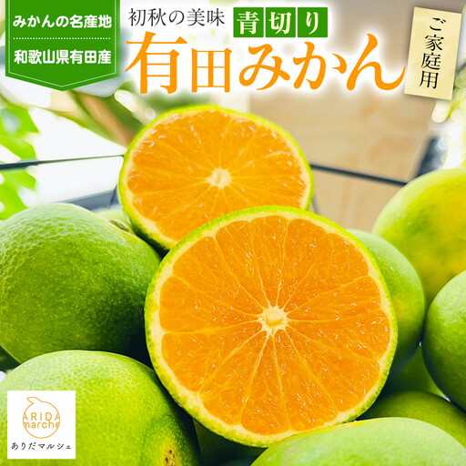 ［先行予約］有田育ちのご家庭用青切り 有田みかん 10kg ［2026年9月中旬より発送］［訳あり］［サイズ混合］［MS19］