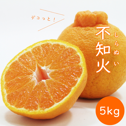 【先行予約】ご家庭用 不知火（しらぬい）５kg  R9年4月より発送 デコっとしてポン B140-029