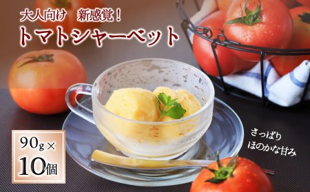 [大人な甘み]トマトシャーベット・10個入 (10-51)
