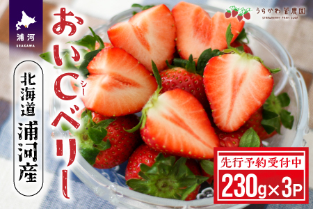 [先行受付開始!]北海道浦河産いちご「おいCベリー」230g×3P[13-1127]