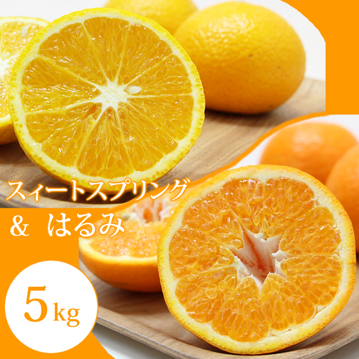 【先行予約】R9年2月出荷予定! ご家庭用スィートスプリングとはるみセット（５kg）  B120-083