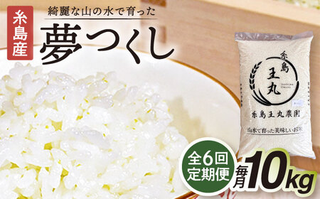 【全6回定期便】 糸島産 夢つくし 10kg×6回（月1回）　糸島市 / 糸島王丸農園 ( 谷口汰一 )【いとしまごころ】[AAZ007]