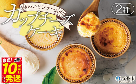 [ほわいとファームのカップチーズケーキ 2種 合計5個]デザート スイーツ お菓子 洋菓子 バスクチーズケーキ ニューヨークチーズケーキ のし対応可 お祝い 内祝い ギフト 贈答 贈り物 プレゼント 愛媛県 西予市[冷凍]『最短10営業日以内に順次発送予定』