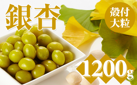 大粒銀杏(殻付き)1,200g 江里口農産加工所 ぎんなん 銀杏 季節 旬の食材