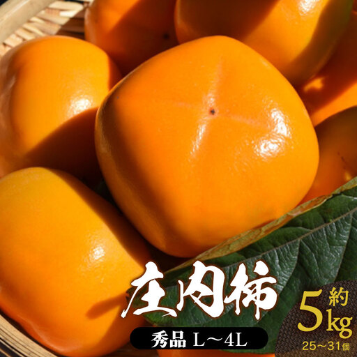 [令和8年産先行予約] 庄内柿 (L〜4Lサイズ) 秀品 約5kg (25〜31個) 山形県鶴岡市産 株式会社 元青果