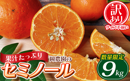 [先行予約]セミノール 果物 くだもの フルーツ わけあり 訳あり 家庭用 みかん 数量限定 ミカン 訳あり品 サイズ不揃い ご家庭用 岡農園のセミノール 約9kg[2027年3月下旬から4月下旬に順次発送予定][mok004B]