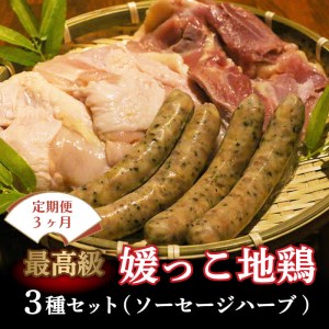 定期便 3回 数量限定 最高級 ブランド 地鶏 媛っこ地鶏 セット3種 ソーセージ ハーブ 鶏肉 鶏むね 鶏もも こだわり 小分け